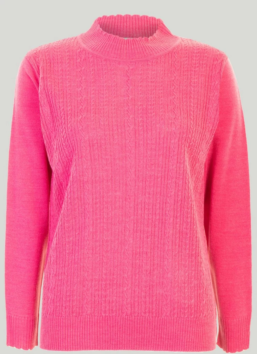 Honor Millburn Women's Stylish Turtle Neck Jumper - Soft Knit Winter Sweater
